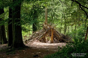 Utrechts Landschap