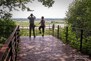 Utrechts Landschap