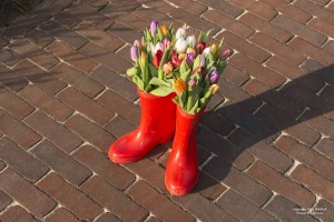 Tuin bestrating fotografie