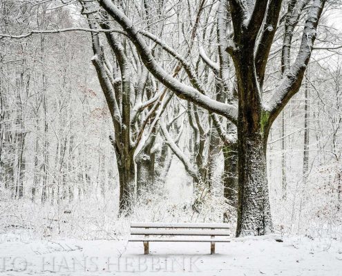 nijmegen-bos-sneeuw