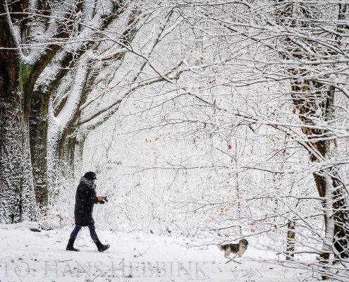 nijmegen-bos-sneeuw