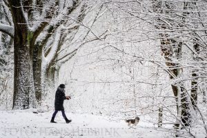 nijmegen-bos-sneeuw