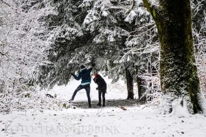 nijmegen-bos-sneeuw