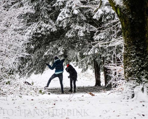 nijmegen-bos-sneeuw