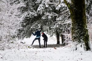 nijmegen-bos-sneeuw