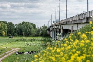 Brug Arnhem