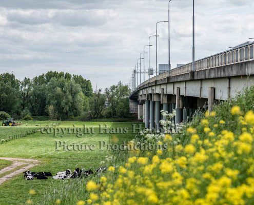 Brug Arnhem